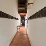 Lantställe La Fratta Art - House Marsciano