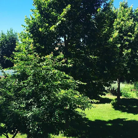 La Fratta Art - House