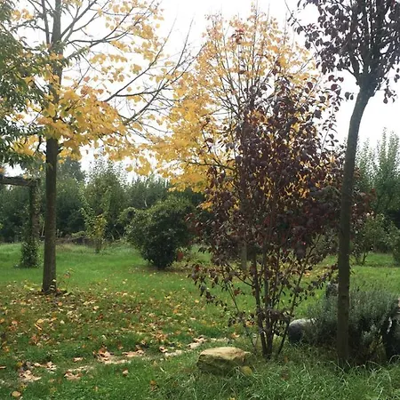 La Fratta Art - House Landsted