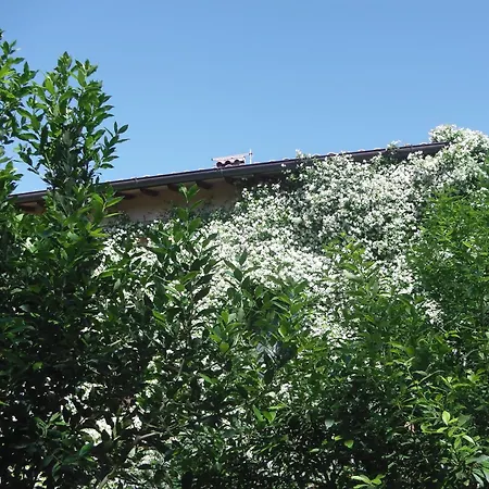 Landsted La Fratta Art - House