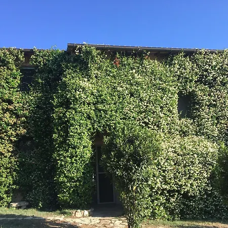 拉弗拉塔艺术酒店 - 马尔夏诺