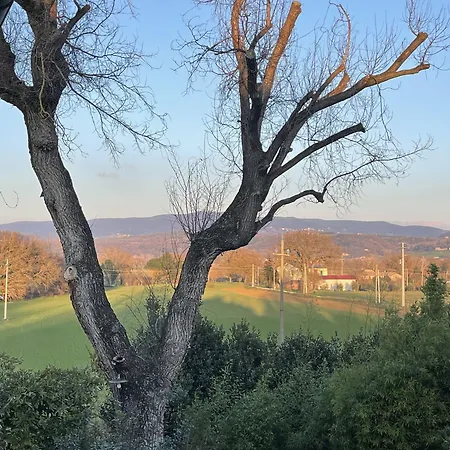Gospodarstwo wiejskie La Fratta Art - House *