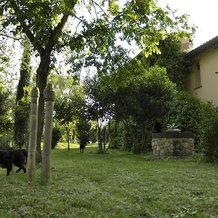 La Fratta Art - House Marsciano